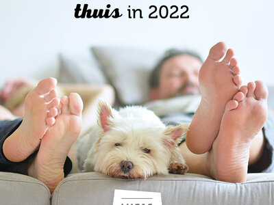 Wat verandert er voor jouw thuis in 2022?